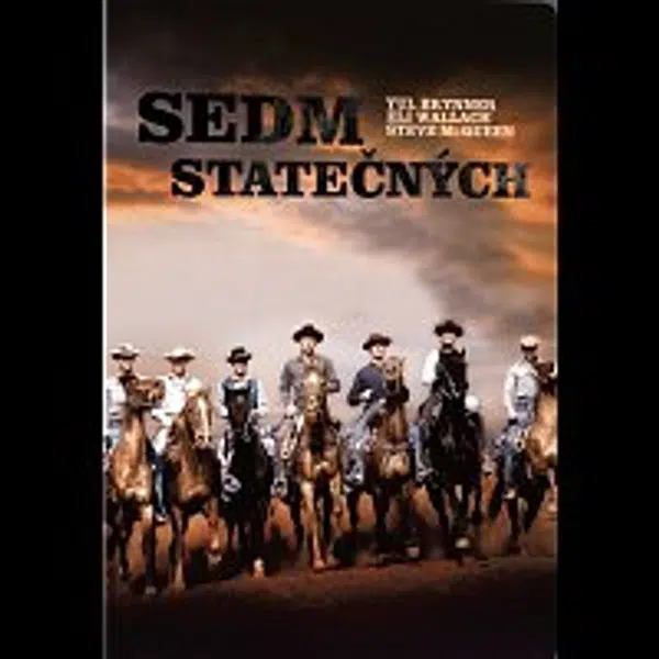 Různí interpreti – Sedm statečných DVD