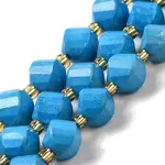 Dyed Natural Howlite Beads Strands
