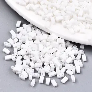 FGB 2-Hole Glass Seed Beads