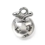 Brass Micro Pave Clear Cubic Zirconia Charms