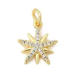 Brass Micro Pave Cubic Zirconia Charms