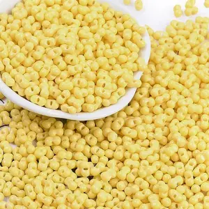 Baking Paint Glass Seed Beads