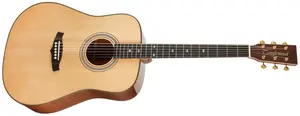 Tanglewood TW15HE