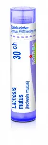Lachesis Mutus 30CH gra.4g