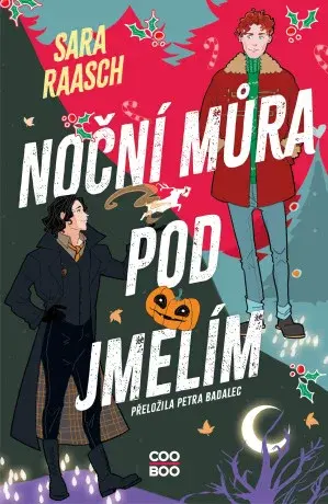 Noční můra pod jmelím - Sara Raaschová - e-kniha
