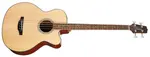 Takamine GB30CE-NAT