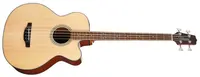 Takamine GB30CE-NAT