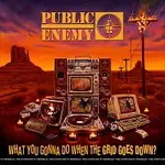 Public Enemy – What You Gonna Do When The Grid Goes Down? CD