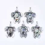 Shell Pendants