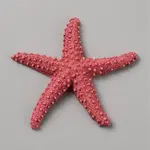 Opaque Resin Sea Animal Cabochons