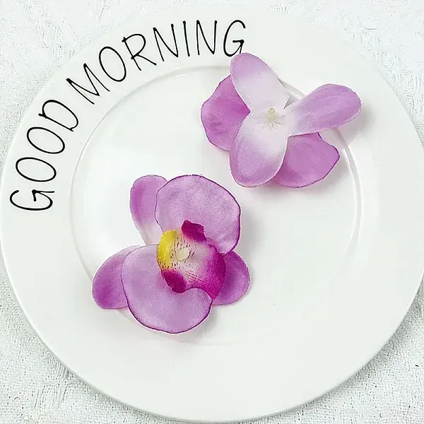 Silk Cloth Artificial Phalaenopsis Flower