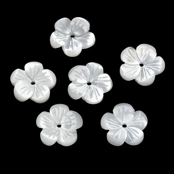 Natural White Shell Beads