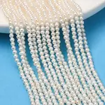 Natural Cultured Freshwater Pearl Beads Strands