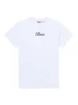 ELLESSE Tričko 'Sandare'  tmavozelená / biela