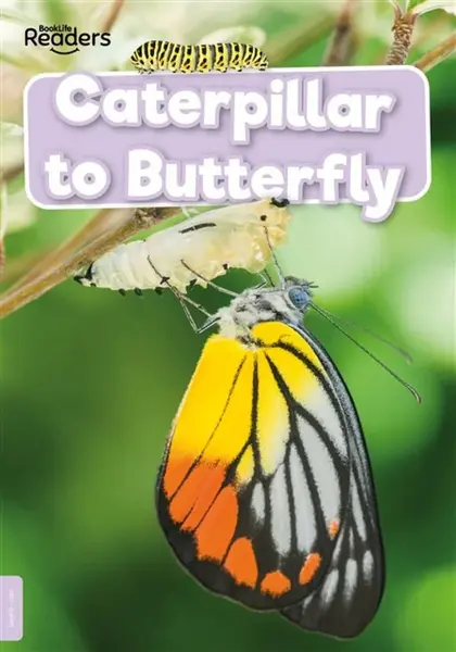 Caterpillar to Butterfly - Anthony William