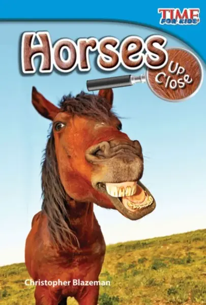 Horses Up Close - Christopher Blazeman