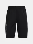 Under Armour Kraťasy Prototype 2.0 Wdmk Shorts-BLK - Kluci