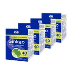 GS Ginkgo 40 mg, 4 × 120 tablet