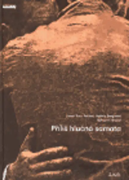 Příliš hlučná samota - komiks - Bohumil Hrabal, Valérie Bergeová, Lionel Tran