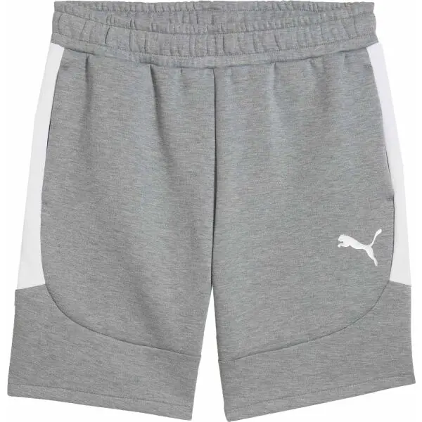 Puma TEAMEVOSTRIPE SHORTS Pánské šortky, šedá, velikost