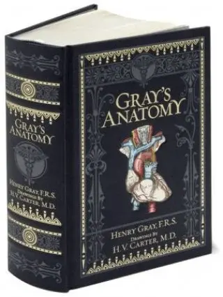 Gray's Anatomy