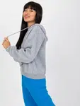 Sweatshirt-RV-BL-7998.60P-gray