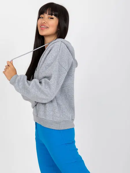 Sweatshirt-RV-BL-7998.60P-gray