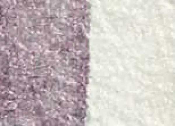 Akvarelová barva DS 15ml – 4006 Interference Red