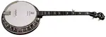 Deering Eagle II Acoustic Electric
