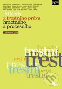 Příklady z trestního práva hmotného a procesního - Tomáš Gřivna, Lukáš Bohuslav, kolektív autorov - kniha z kategorie Trestní právo