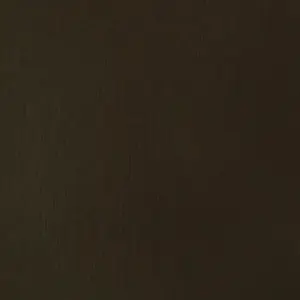 Akrylová barva Basics 22ml – 331 raw umber