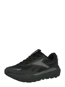Reebok Bežecká obuv 'BASE TRAIL'  sivá / čierna