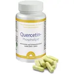 Quercetin Phospholipid - 60 kapsúl