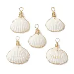 Copper Wire Wrapped Natural Shell Pendants
