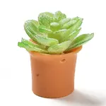 Opaque Resin Potted Plant Pendants