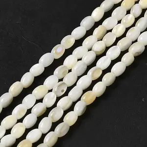 Natural Freshwater Shell Beads Strand