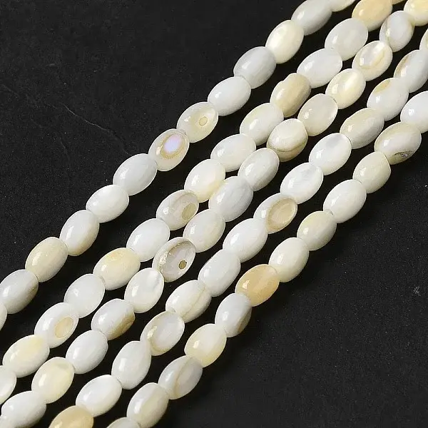 Natural Freshwater Shell Beads Strand