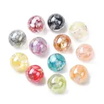Transparent Resin & Natural Shell Beads