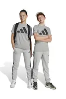 Dětské tepláky adidas šedá barva, s aplikací, JE0304