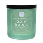 DW Home Signature Vonná svíčka ve skle Svěží eukalyptus 274 g