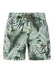 Men's beach shorts Protest PRTGLORY