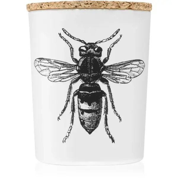 Vila Hermanos Insect Calabrone vonná svíčka 75 g