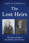 The Lost Heirs - James W Stebbings