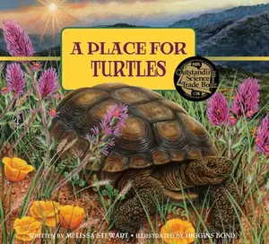 A Place for Turtles - Melissa Stewart