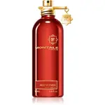 Montale Red Vetiver parfémovaná voda pro muže 100 ml