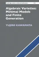 Algebraic Varieties: Minimal Models and Finite Generation - Yujiro  Kawamata