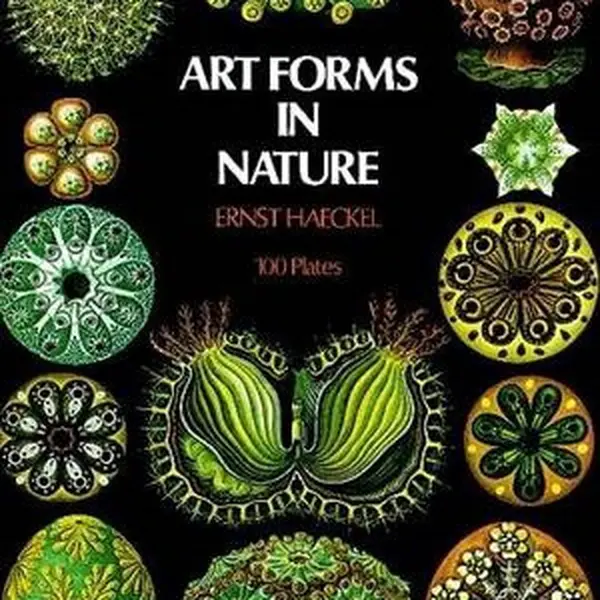 Art Forms in Nature - Haeckel Ernst