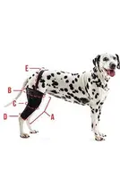 Bandáž rehab na koleno pro psa Kruuse S pravá