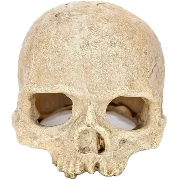 Dekorácia do terária Ľudská lebka 14x12cm