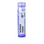 Lachesis mutus 30CH granule 4g